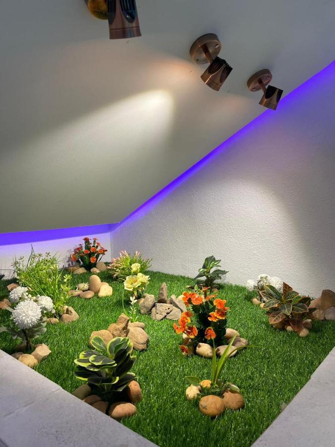 سويت روز العلا للشقق المفروشة Sweet Rose Al Ula Organizing Tours Exterior photo